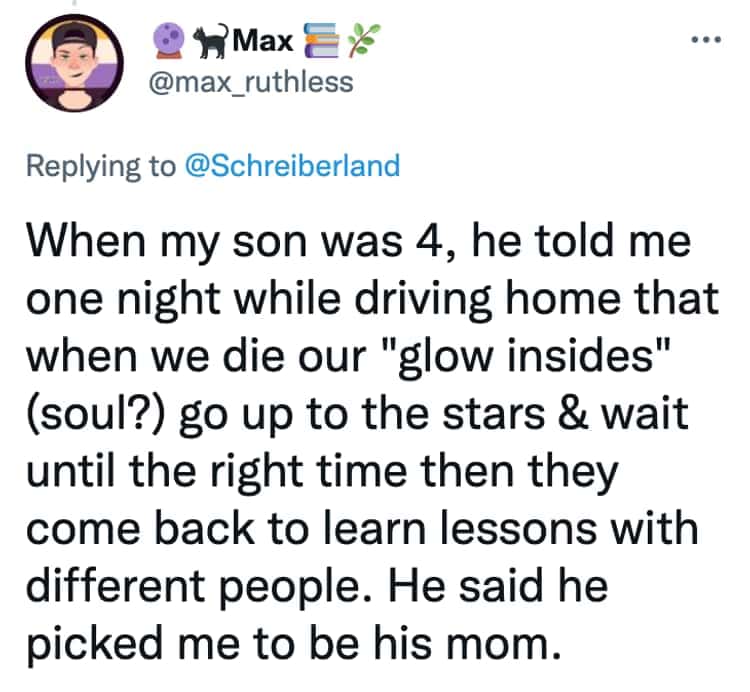 When my son was 4, he told me one night while driving home that when we die our "glow insides" (soul?) go up to the stars & wait until the right time then they come back to learn lessons with different people. He said he picked me to be his mom.