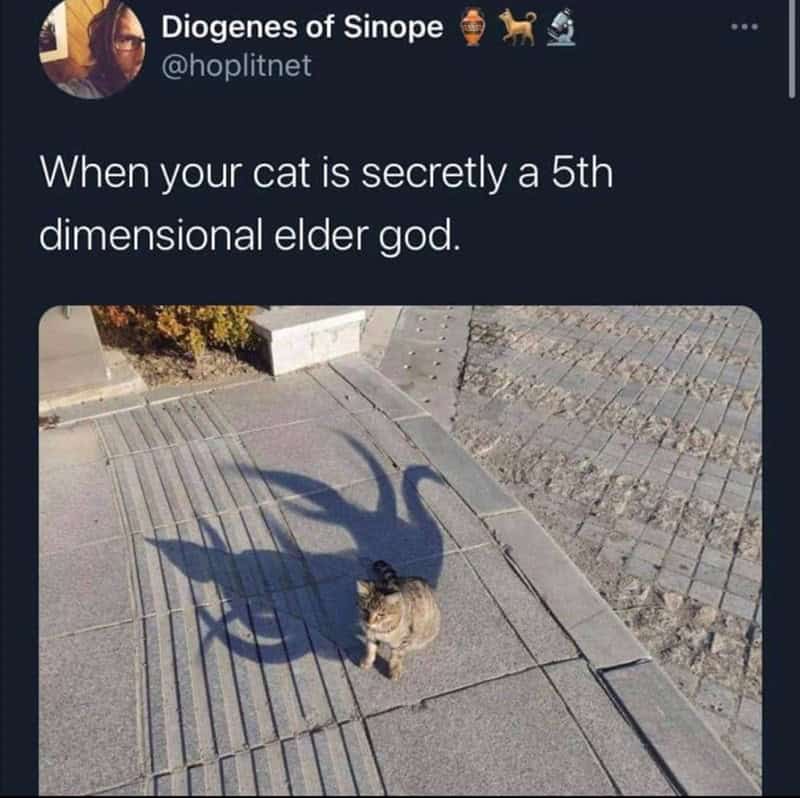 lovecraft memes, cthulhu memes