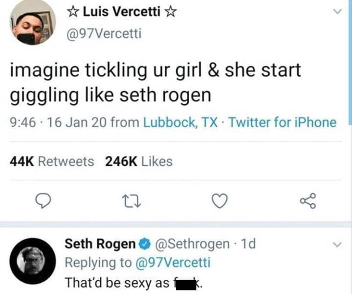 manly memes. imagine tickling ur girl & she start giggling like seth rogen