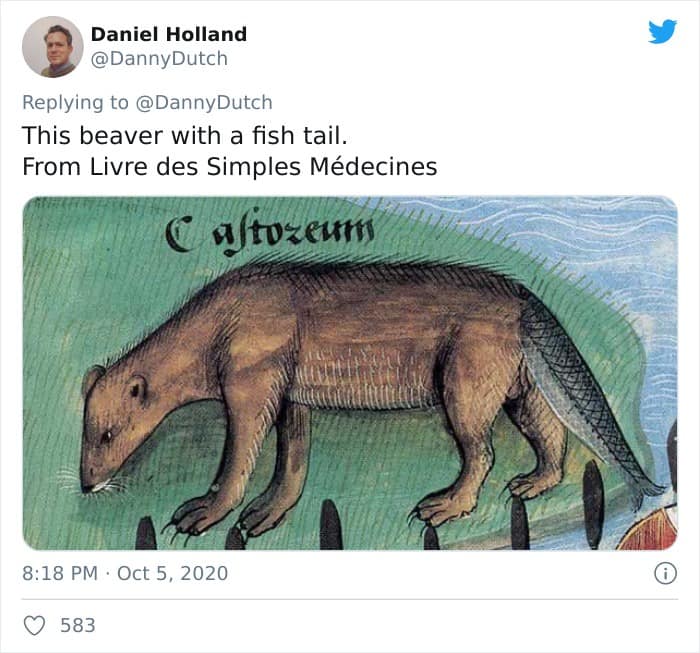 This beaver with a fish tail. From Livre des Simples Médecines