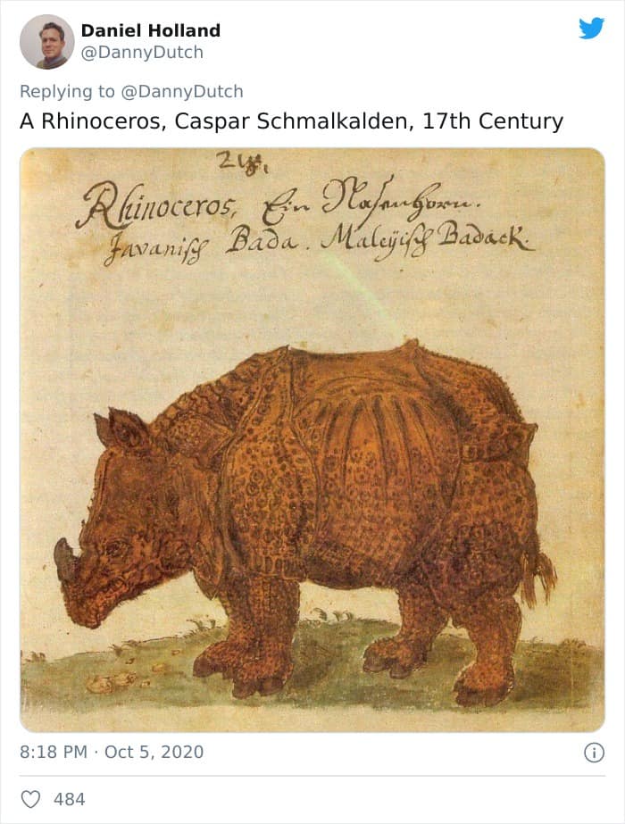 A Rhinoceros, Caspar Schmalkalden, 17th Century