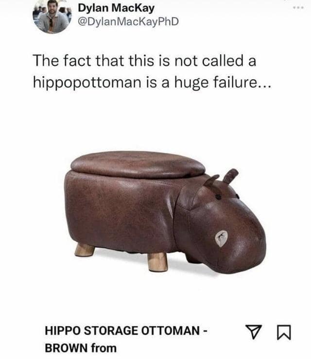 meme dump, funny memes, hilarious memes, lazy Sunday memes, humorous memes, meme collection, laughter repository, chuckle compilation, meme extravaganza