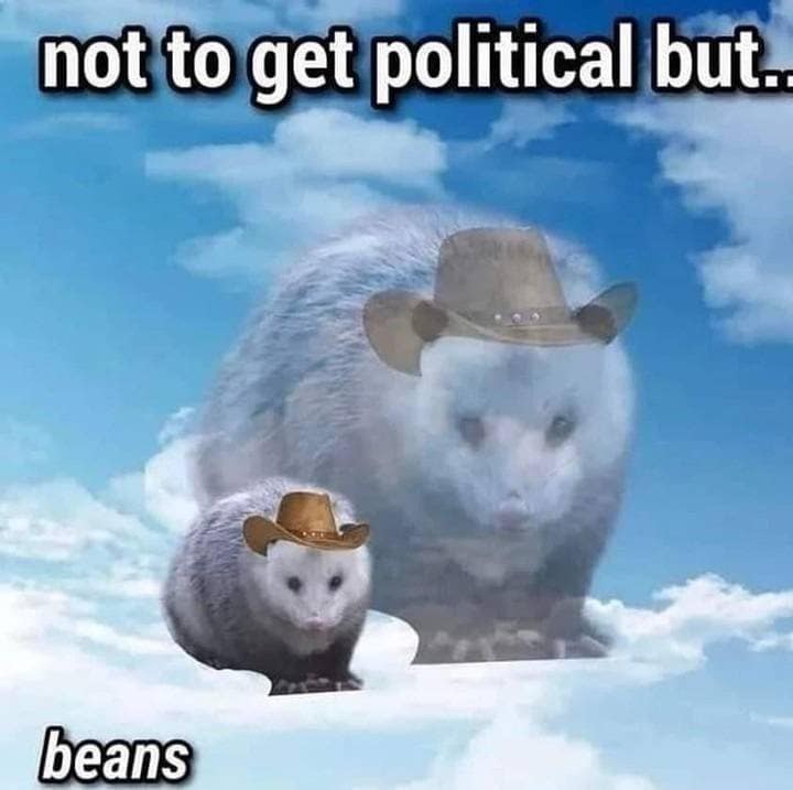 meme dump, hilarious memes, weekly memes, Sunday meme madness, laugh break memes, meme collection, meme roundup, meme bonanza