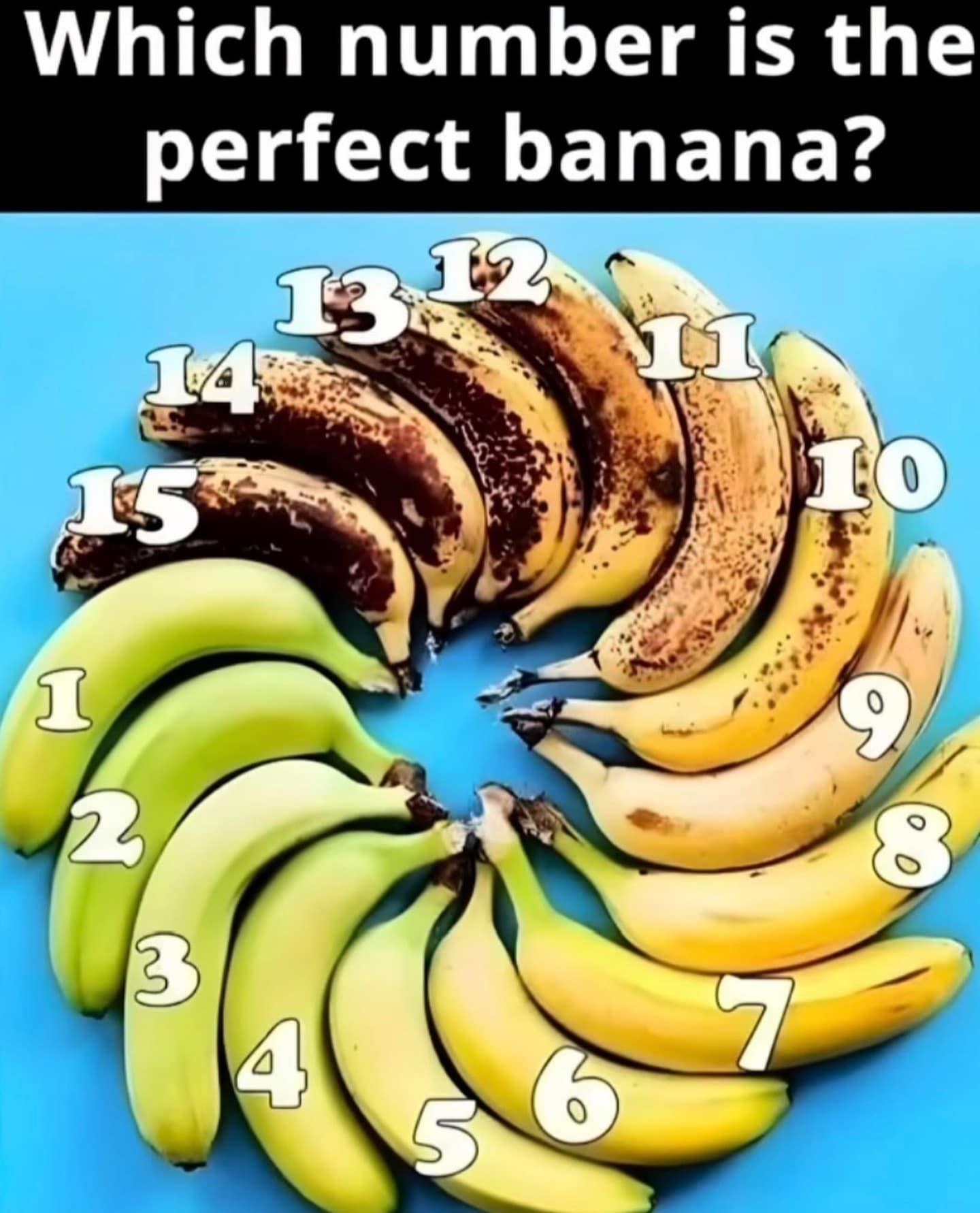 meme dump, hilarious memes, funny memes