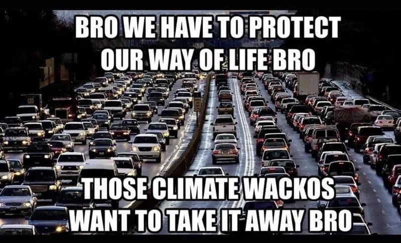 meme dump, hilarious memes, funny memes, weekend memes, Saturday memes, lazy day memes, everyday memes, life memes