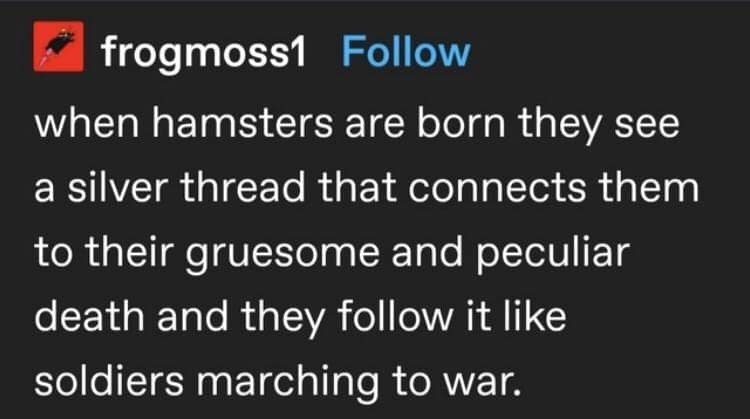 meme dump, hilarious memes, funny memes, weekend memes, Saturday memes, lazy day memes, everyday memes, life memes