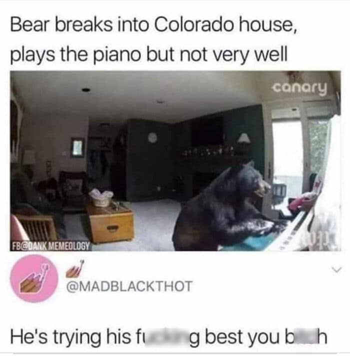 meme dump, hilarious memes, weekly memes, Sunday meme madness, laugh break memes, meme collection, meme roundup, meme bonanza