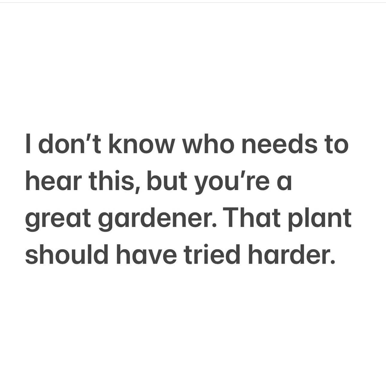 meme dump, funny memes, hilarious memes