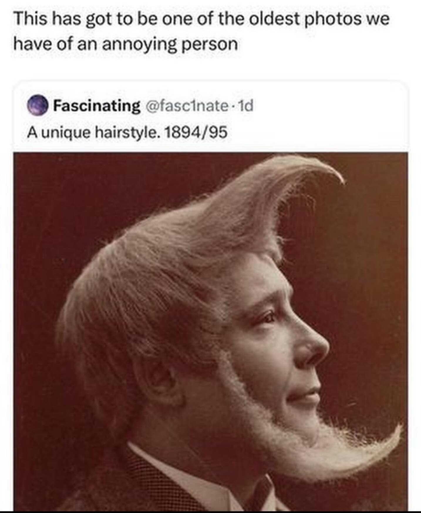 meme dump, funny memes, hilarious memes