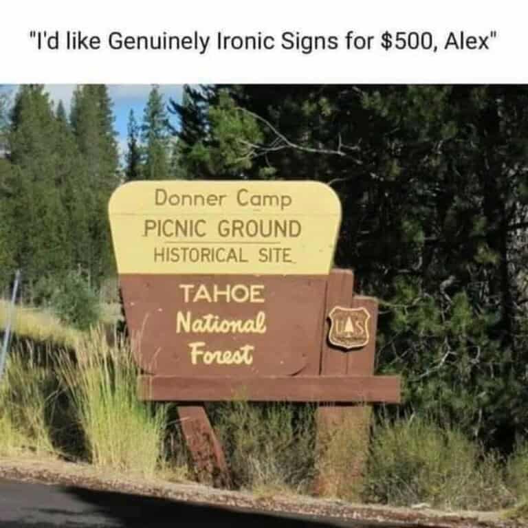 nature memes, outdoor memes, Hiking Memes, Funny Outdoor Content, Hilarious Camping Stories, Amusing Hiking Fails, Wilderness Humor, Backcountry Jokes, Forest Funnies