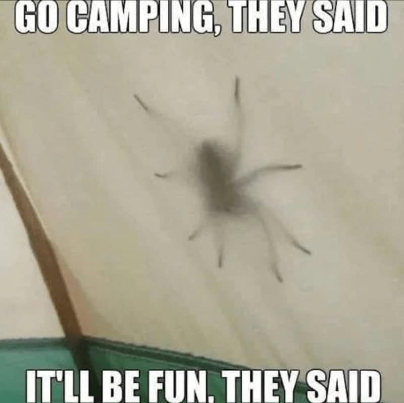 nature memes, outdoor memes, Hiking Memes, Funny Outdoor Content, Hilarious Camping Stories, Amusing Hiking Fails, Wilderness Humor, Backcountry Jokes, Forest Funnies