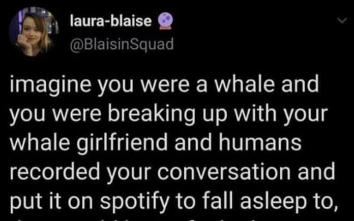 oddly specific posts. imagine you were a whale and you were breaking up with your whale girlfriend and humans recorded your conversation and put it on spotify to fall asleep