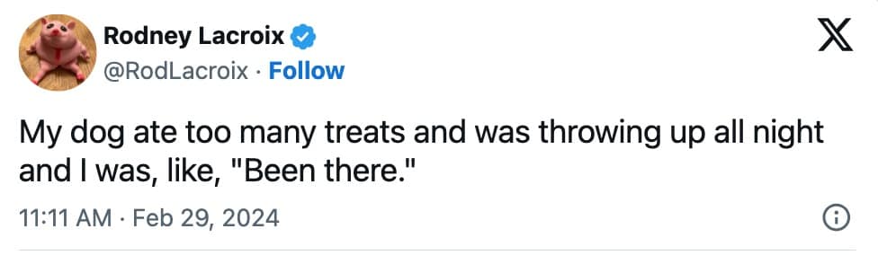 pet memes, animal memes, funny pet tweets, cute pet pictures, pet tweets, hilarious pet tweets, adorable pet pics, cute animal photos