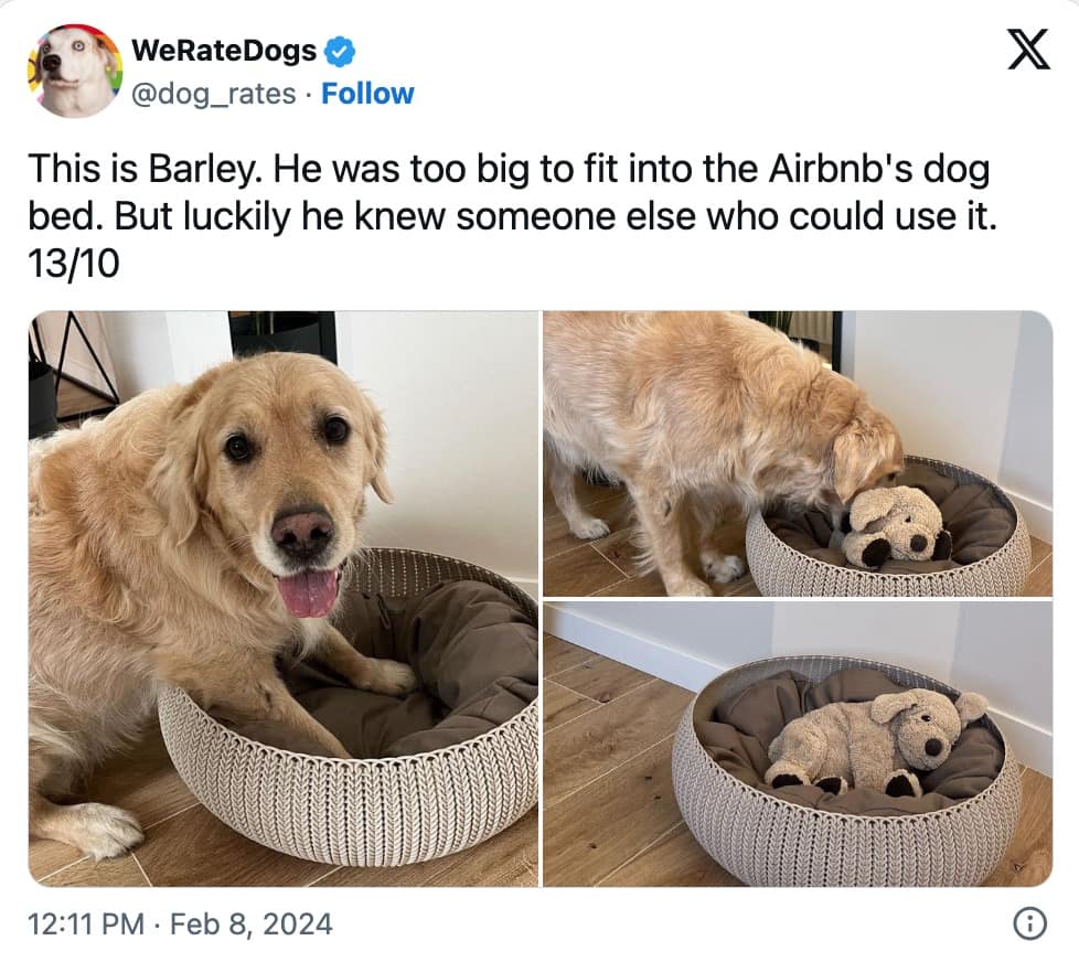 pet memes, animal memes, funny pet tweets, cute pet pictures, pet tweets, hilarious pet tweets, adorable pet pics, cute animal photos