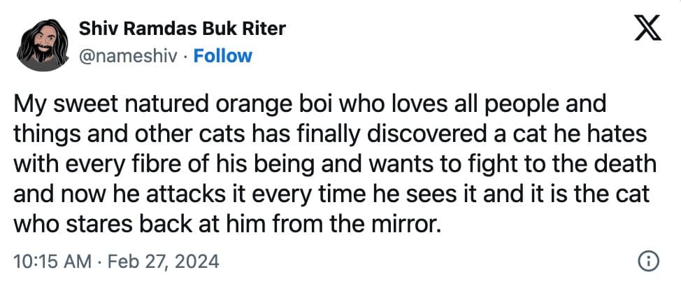 pet memes, animal memes, funny pet tweets, cute pet pictures, pet tweets, hilarious pet tweets, adorable pet pics, cute animal photos