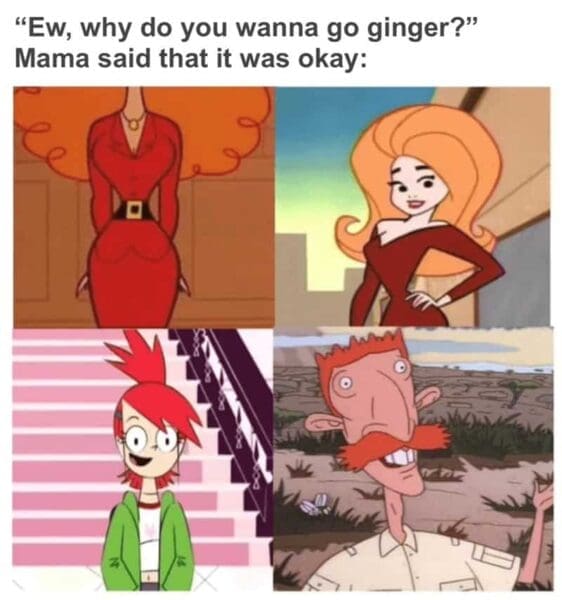 35 Redhead Memes That Prove Gingers Have More Fun