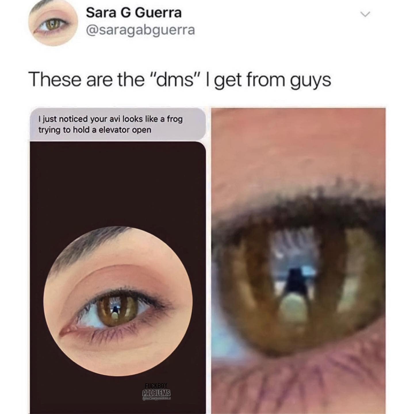 relationship memes. These are the "dms" | get from guys I just noticed your avi looks like a frog trying to hold a elevator open