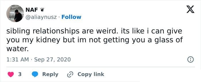 sibling memes, Funny Family Memes, Brother Sister Memes, Childhood Memories Memes, Sibling Humor, Family Shenanigans, Growing Up Memes