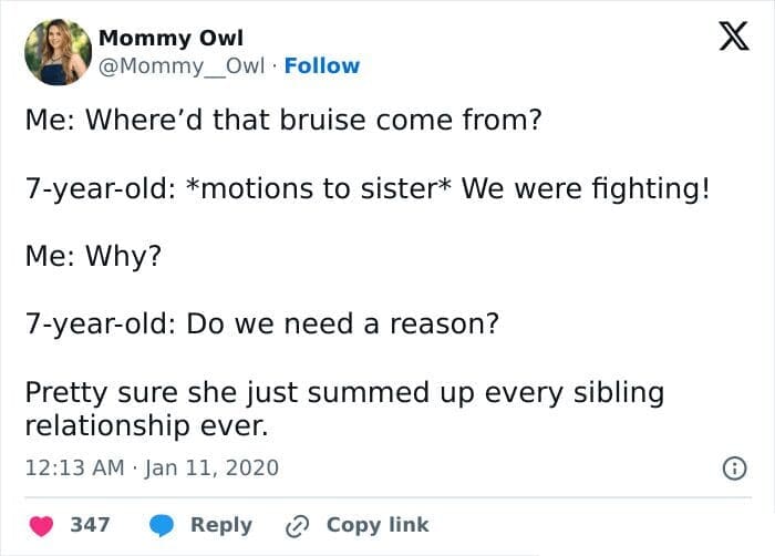 sibling memes, Funny Family Memes, Brother Sister Memes, Childhood Memories Memes, Sibling Humor, Family Shenanigans, Growing Up Memes