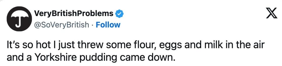 funny summer memes, seasonal memes, hot weather memes, heatwave memes, humorous summer memes, comical summer memes, season humor, seasonal jokes