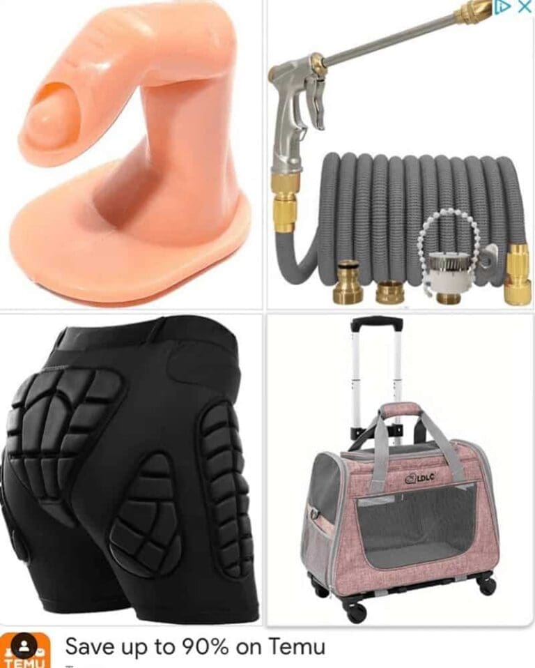 Temu Memes: 35 Gems From The WORST Marketplace