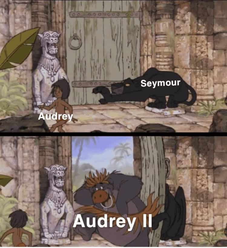 theater memes, theatre memes, Musical Theatre Humor, Drama Club Shenanigans, Actor Life, Stage Performance Jokes, Backstage Antics, Broadway Laughs