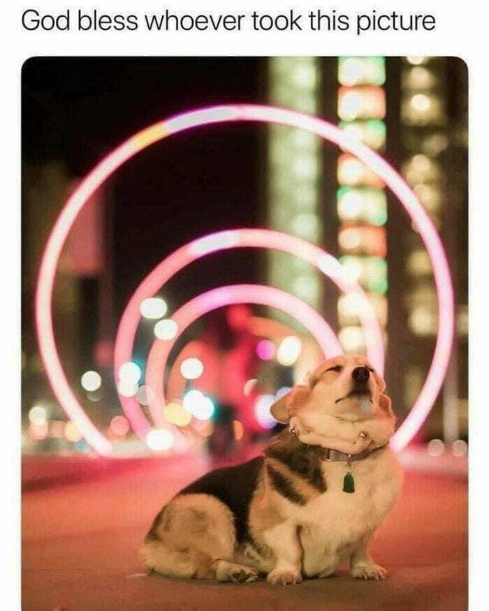 wholesome memes, heartwarming memes, uplifting memes, Feel-good memes, Positive memes, kindness memes