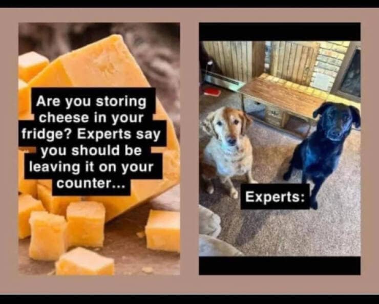 wholesome memes, heartwarming memes, uplifting memes, positive memes, feel-good memes, motivational memes, inspirational memes, happy memes, cheerful memes, joyful memes