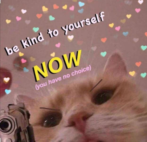 wholesome memes, heartwarming memes, uplifting memes, feel-good memes, inspirational memes, motivational memes