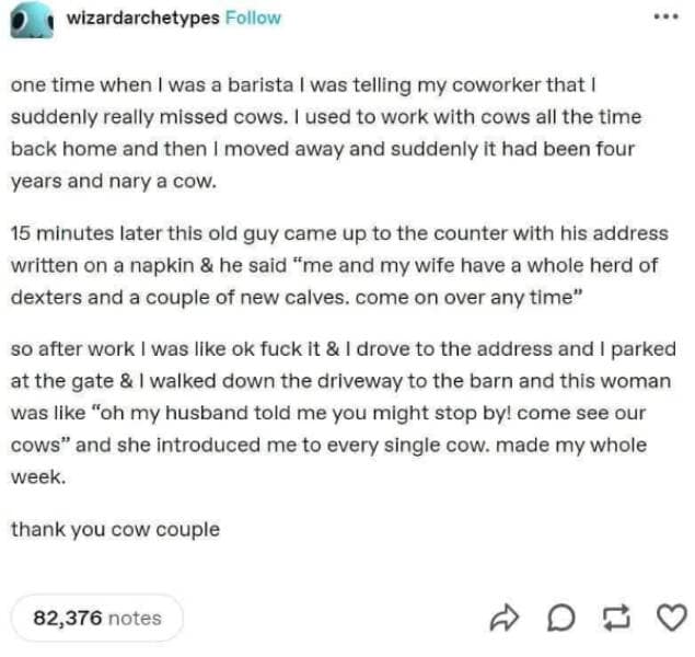 wholesome memes, heartwarming memes, uplifting memes, feel-good memes, inspirational memes, motivational memes