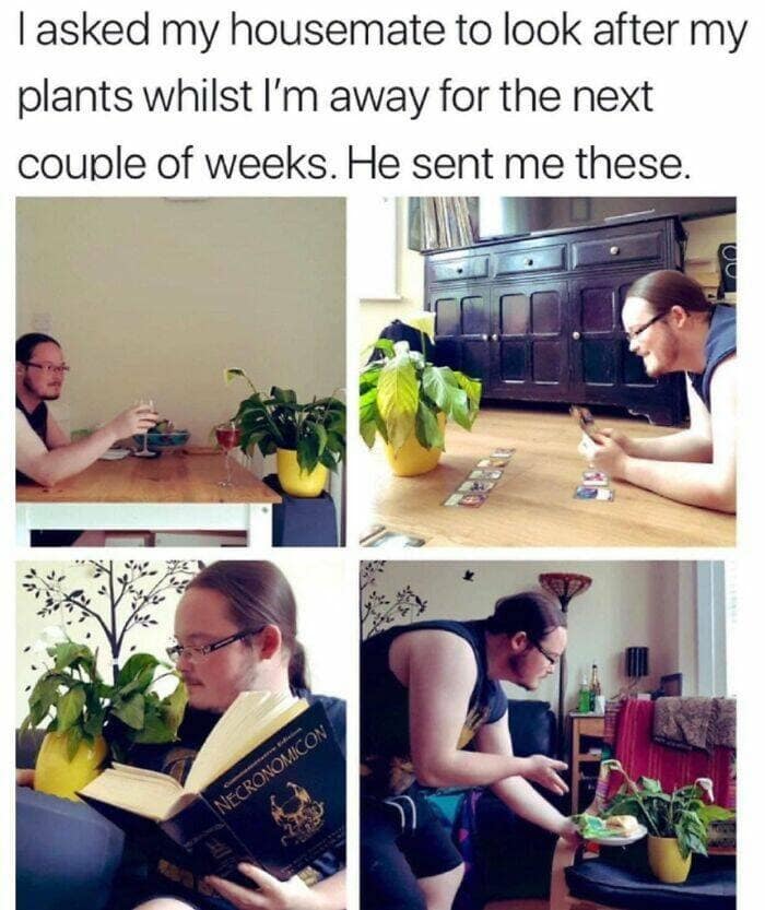 wholesome memes, heartwarming memes, uplifting memes, Feel-good memes, Positive memes, kindness memes