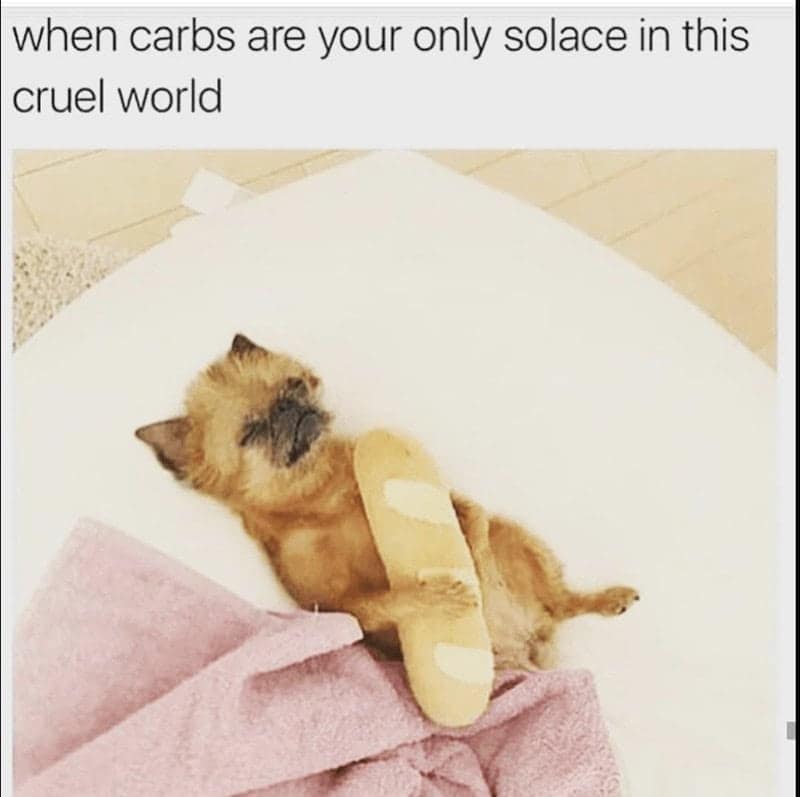 fitness humor, gym jokes, exercise laughter, exercise memes, fitness funnies, workout humor