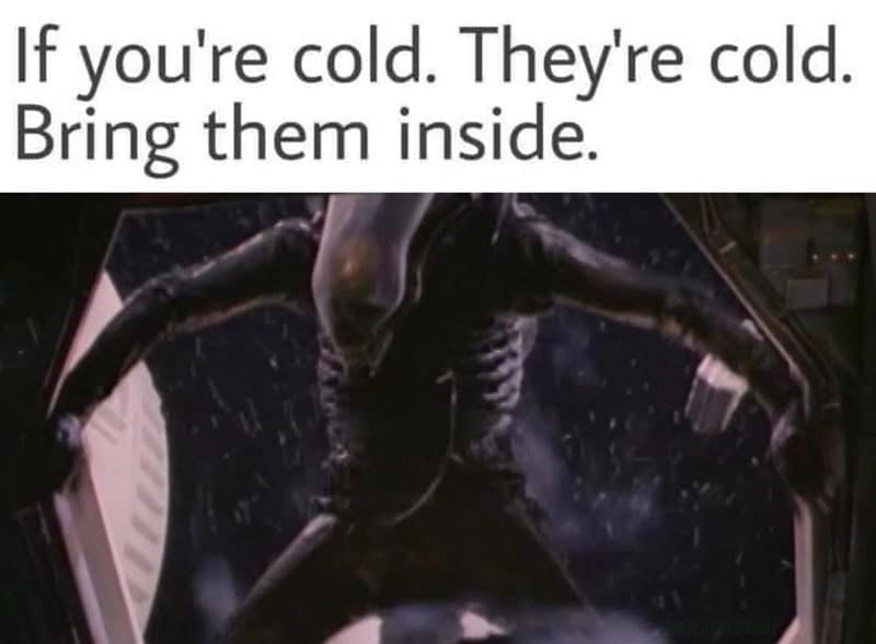xenomorph memes. If you're cold. They're cold. Bring them inside.