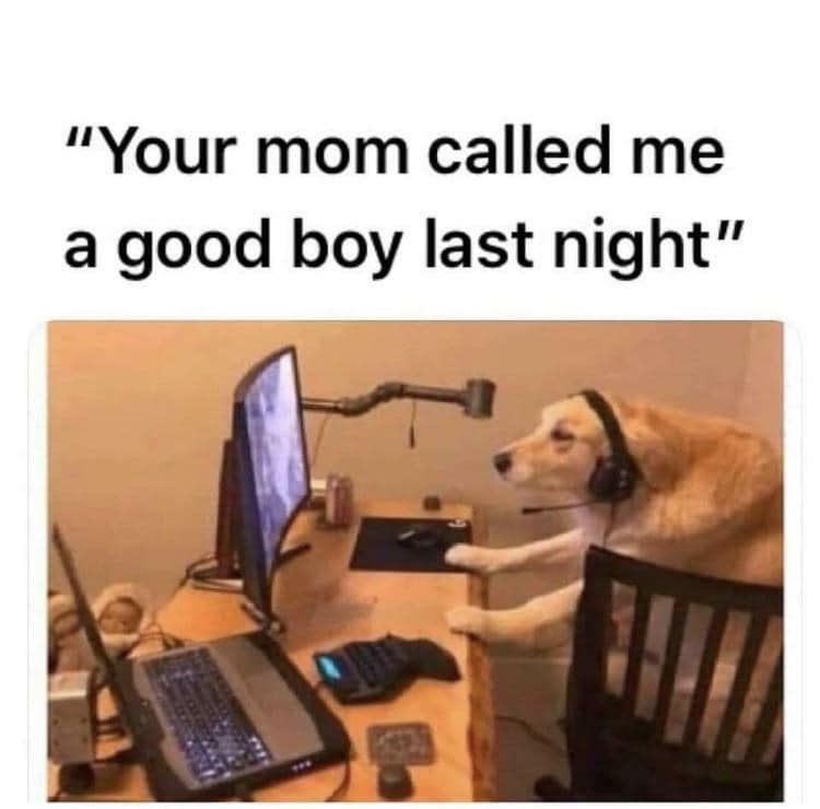 your mom jokes. "Your mom called me a good boy last night"