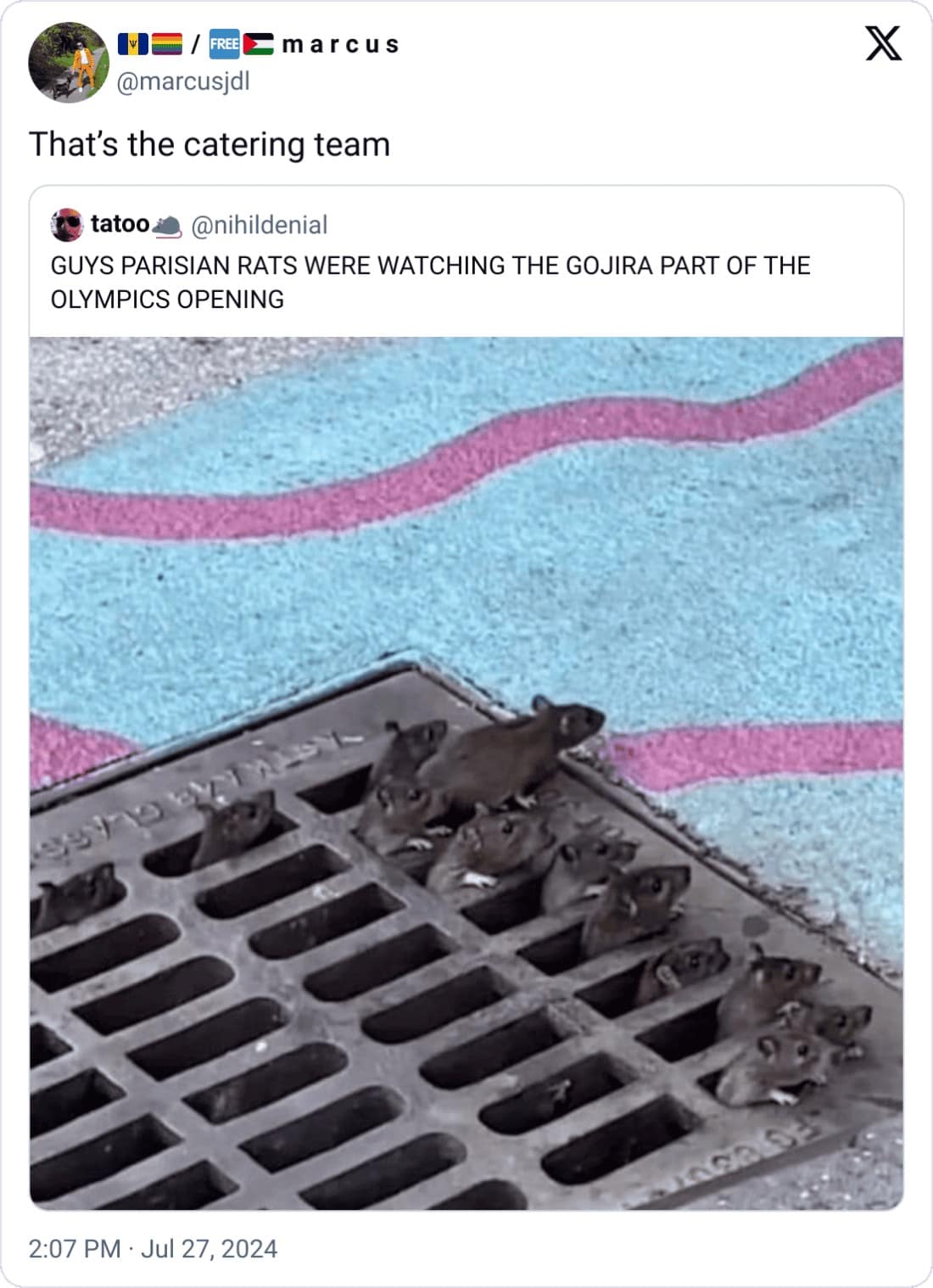 2024 olympics memes, olympics memes, olympic memes, paris 2024 memes, Olympic jokes, funny Olympic moments, Olympics humor