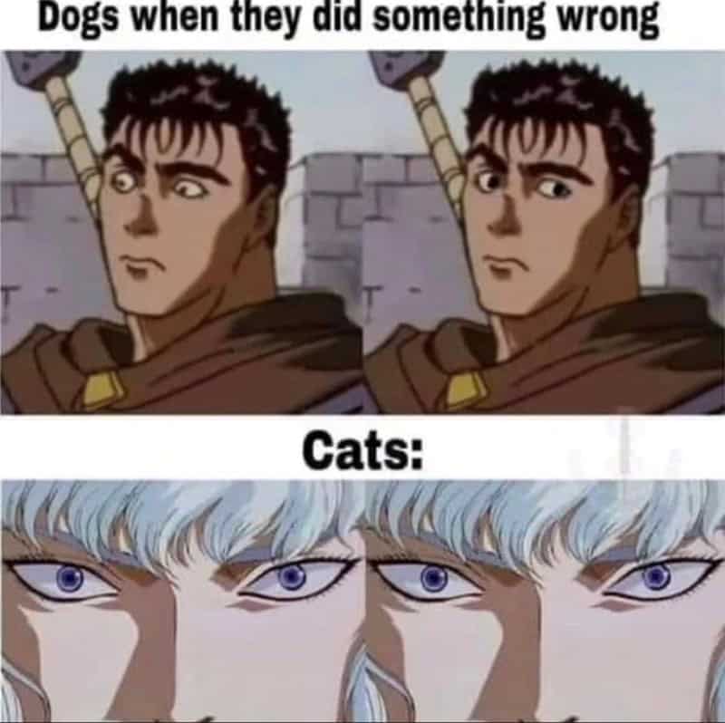 anime memes, otaku memes, anime humor, manga jokes, weeb memes, anime comedy, manga humor