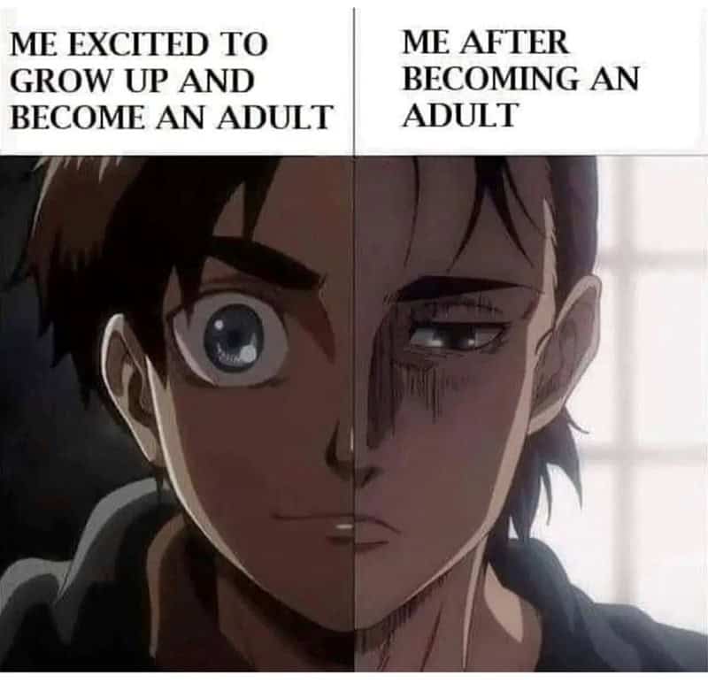 anime memes, otaku memes, anime humor, manga jokes, weeb memes, anime comedy, manga humor