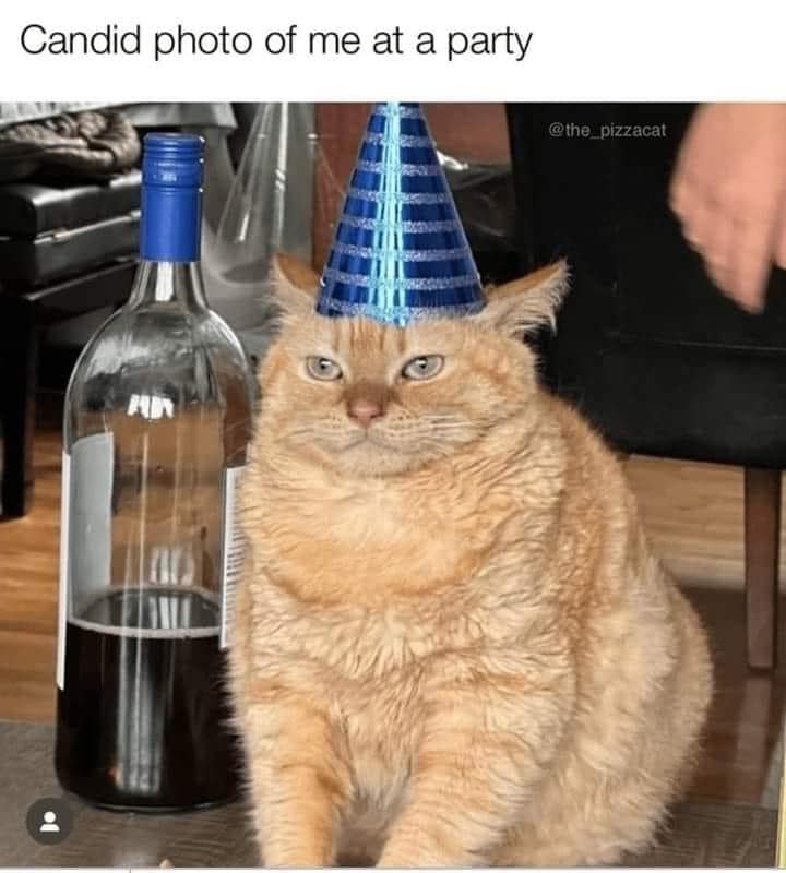 classic memes, vintage memes, viral tweets, digital humor, old memes, best memes, timeless memes, iconic tweets, internet sensations