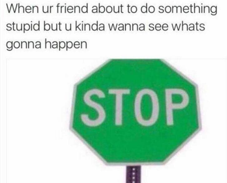 classic memes, vintage memes, viral tweets, Internet Culture, Digital Nostalgia, Timeless Internet Humor, Iconic Online Jokes, old Memes