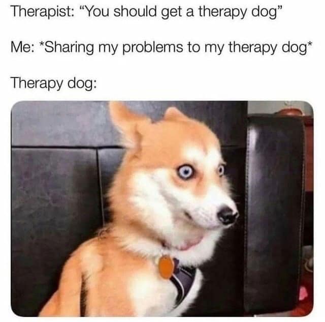 classic memes, vintage memes, viral tweets, timeless memes, internet classics, iconic memes, legendary tweets, evergreen memes