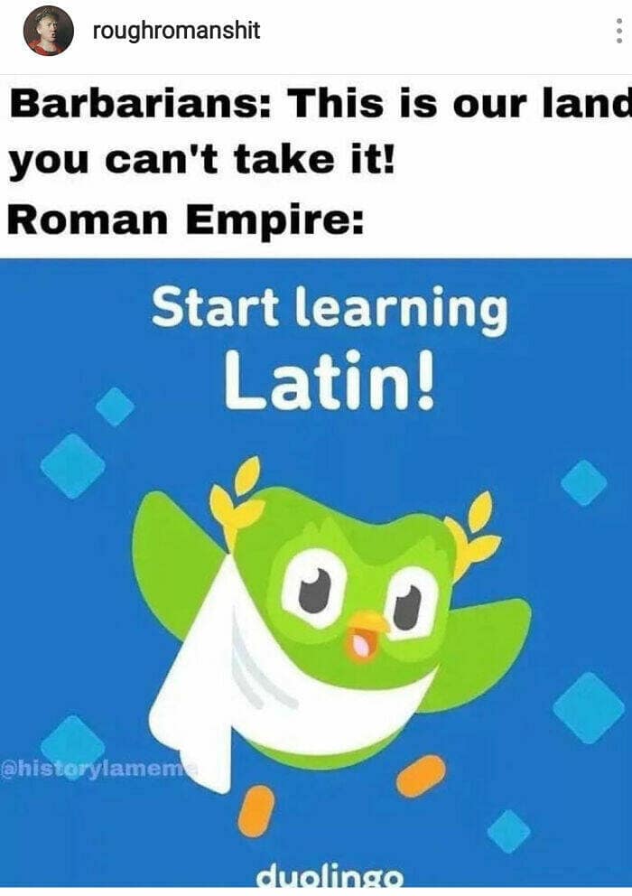 duolingo memes, language learning jokes, app humor, motivational memes