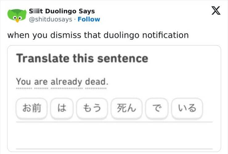 duolingo memes, language learning jokes, app humor, motivational memes