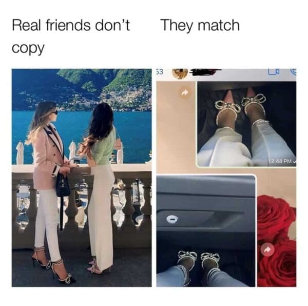 Friendship Memes 35 BFF Memes For The Ladies