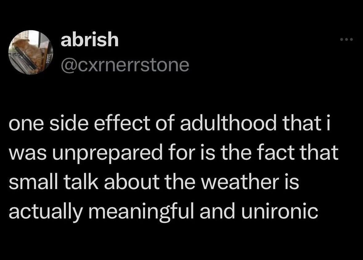 funny memes. one side effect of adulthood that i was unprepared for is the fact that small talk about the weather is actually meaningful and unironic