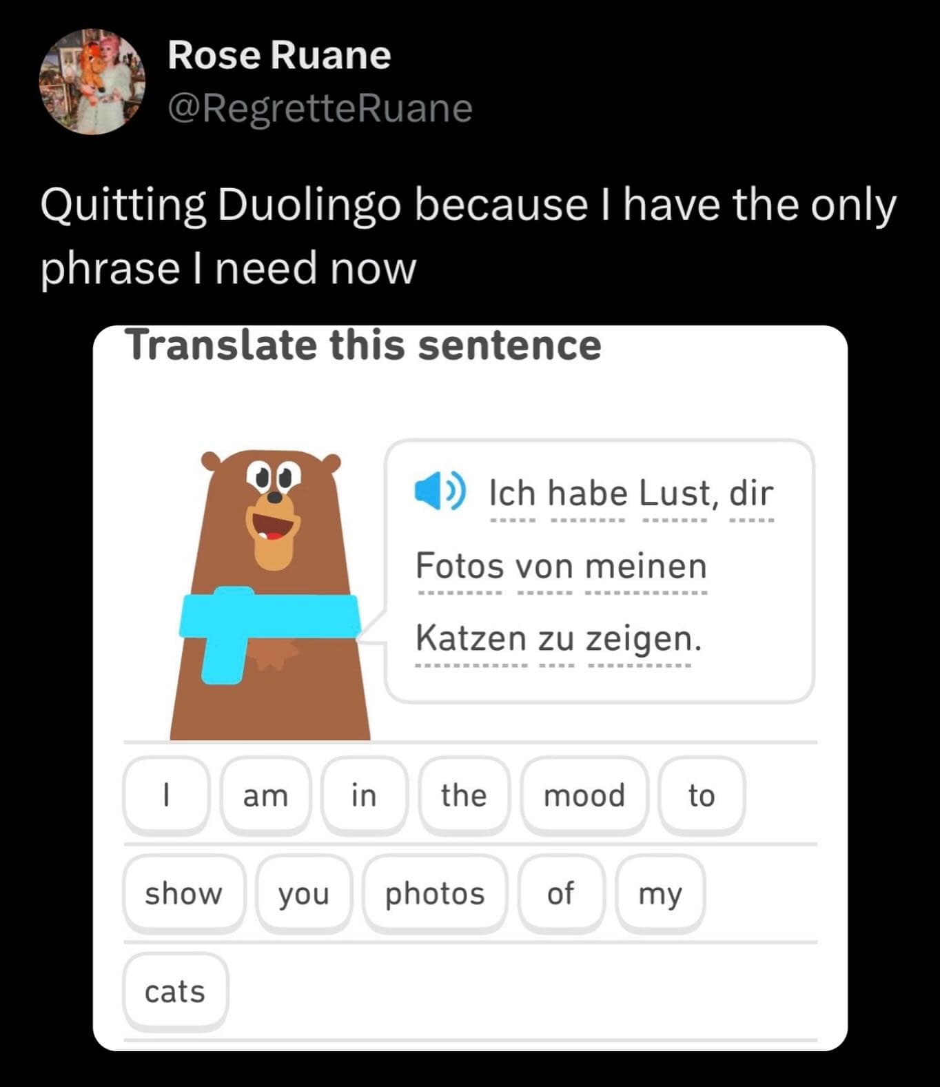 funny memes. Quitting Duolingo because I have the only phrase I need now