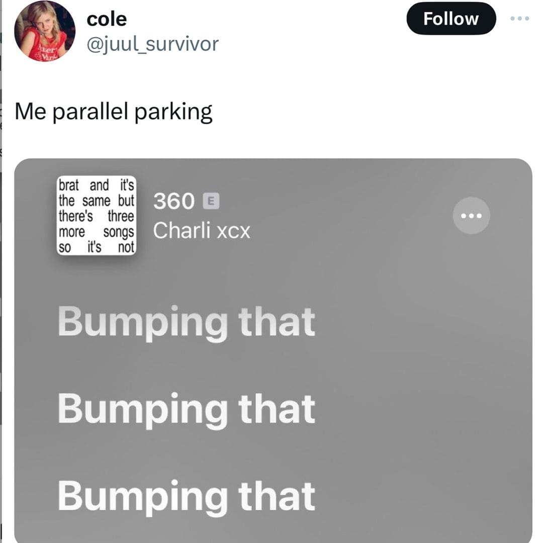 funny memes. Me parallel parking