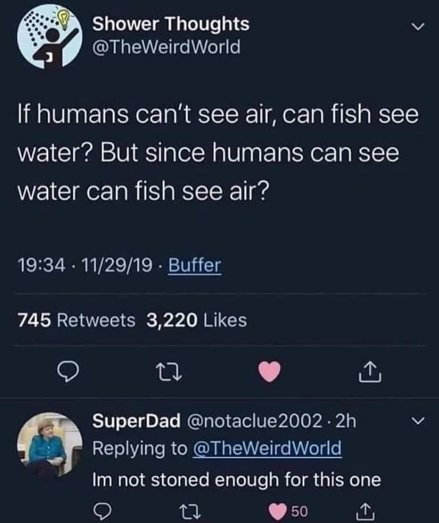 funny memes. If humans can't see air, can fish see water? But since humans can see water can fish see air?
