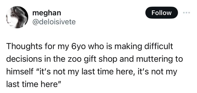 Thoughts for my 6yo who is making difficult decisions in the zoo gift shop and muttering to himself "it's not my last time here, it's not my last time here"
