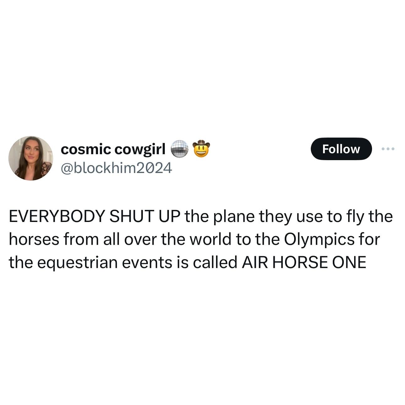 EVERYBODY SHUT UP the plane they use to fly the horses from all over the world to the Olympics for the equestrian events is called AIR HORSE ONE