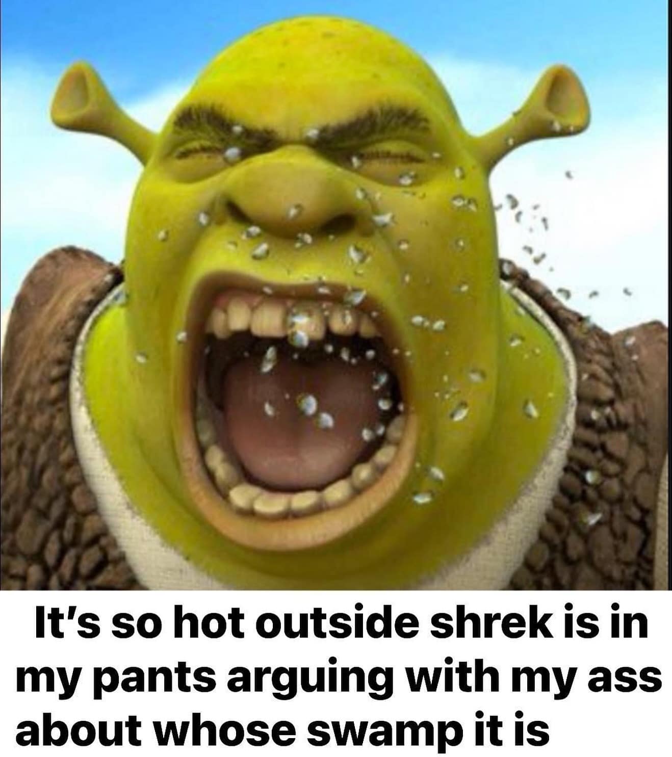 funny pics.It's so hot outside shrek is in my pants arguing with my about whose swamp it is